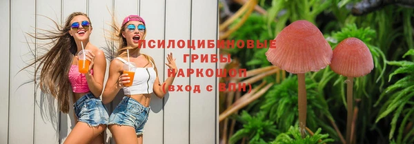 метадон Елизово