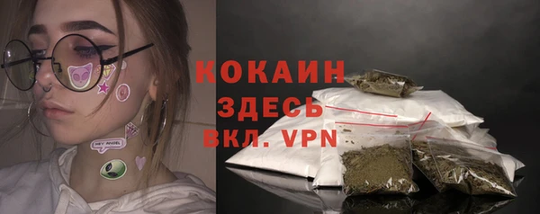 метадон Елизово
