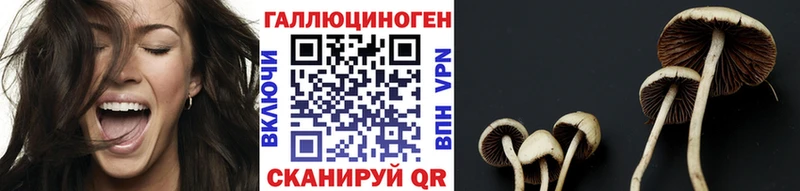Псилоцибиновые грибы ЛСД  магазин продажи   Обоянь 